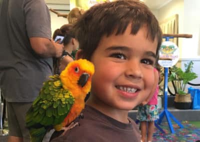 Photos with the Birds at Ashmore Palms' Guest Morning Tea