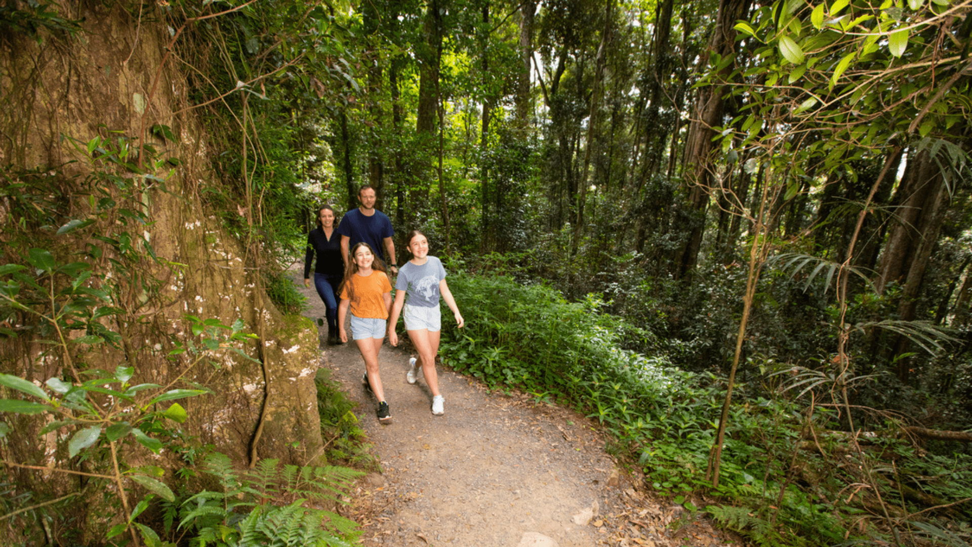 Best Things to Do on the Gold Coast This Summer Ashmore Palms Holiday Village 2023 February 2023