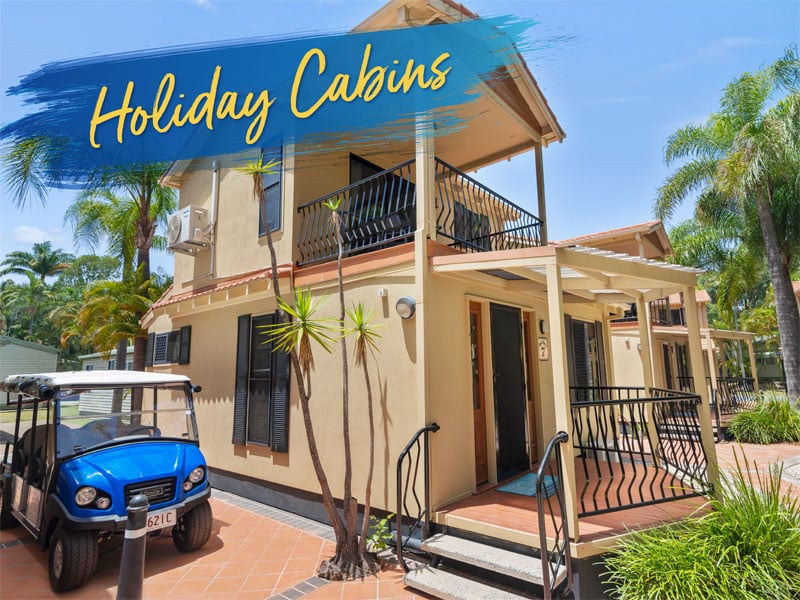 Gold Coast Holiday Accommodation at Ashmore Palms