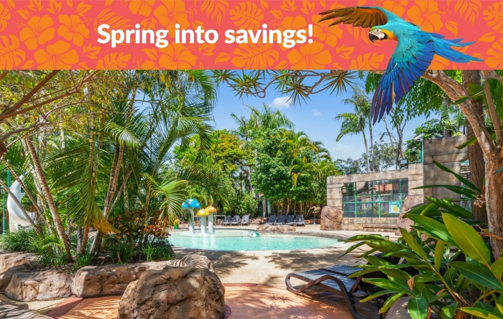 Spring Holiday Saver Deal at Ashmore Palms Holiday Village, Gold Coast