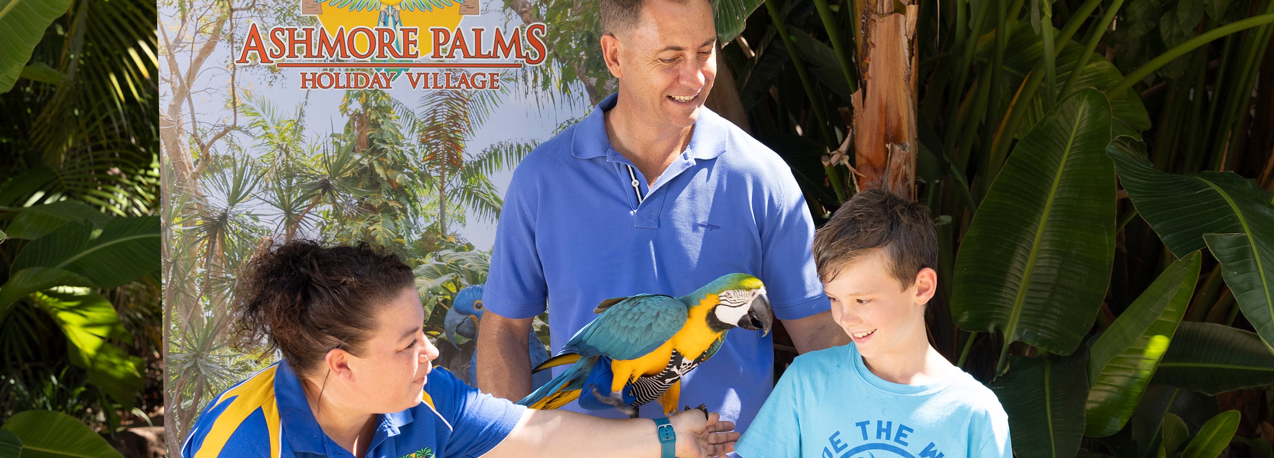 Ashmore Palms Holiday Village - Gold Coast Family Holiday Accommodation